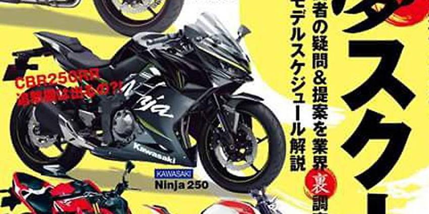 Kawasaki Ninja 250 2017