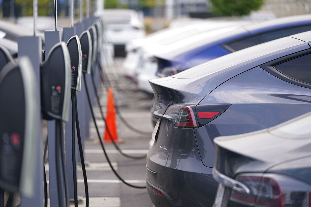 Pemerintah Selandia Baru Memberi Subsidi Untuk Setiap Pembelian Kendaraan Elektrifikasi
