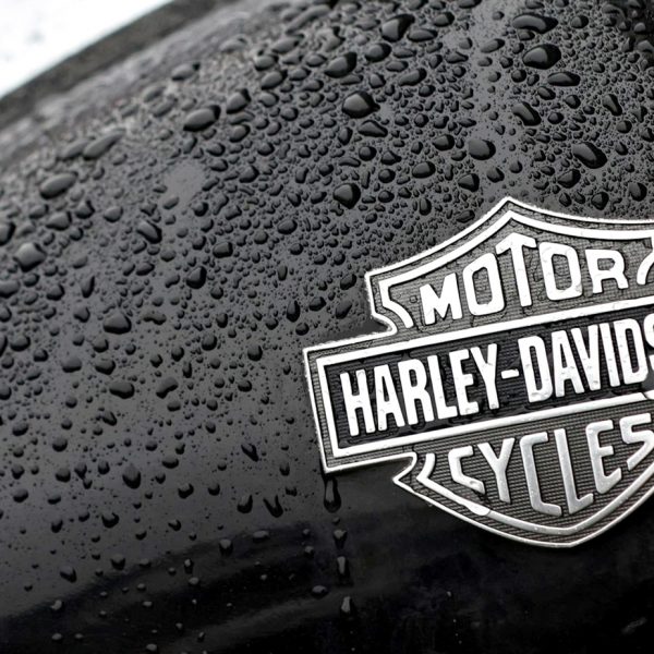 Logo Harley Davidson.