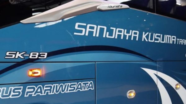 Logo bus medium baru PO Sanjaya Kusuma Trans.
