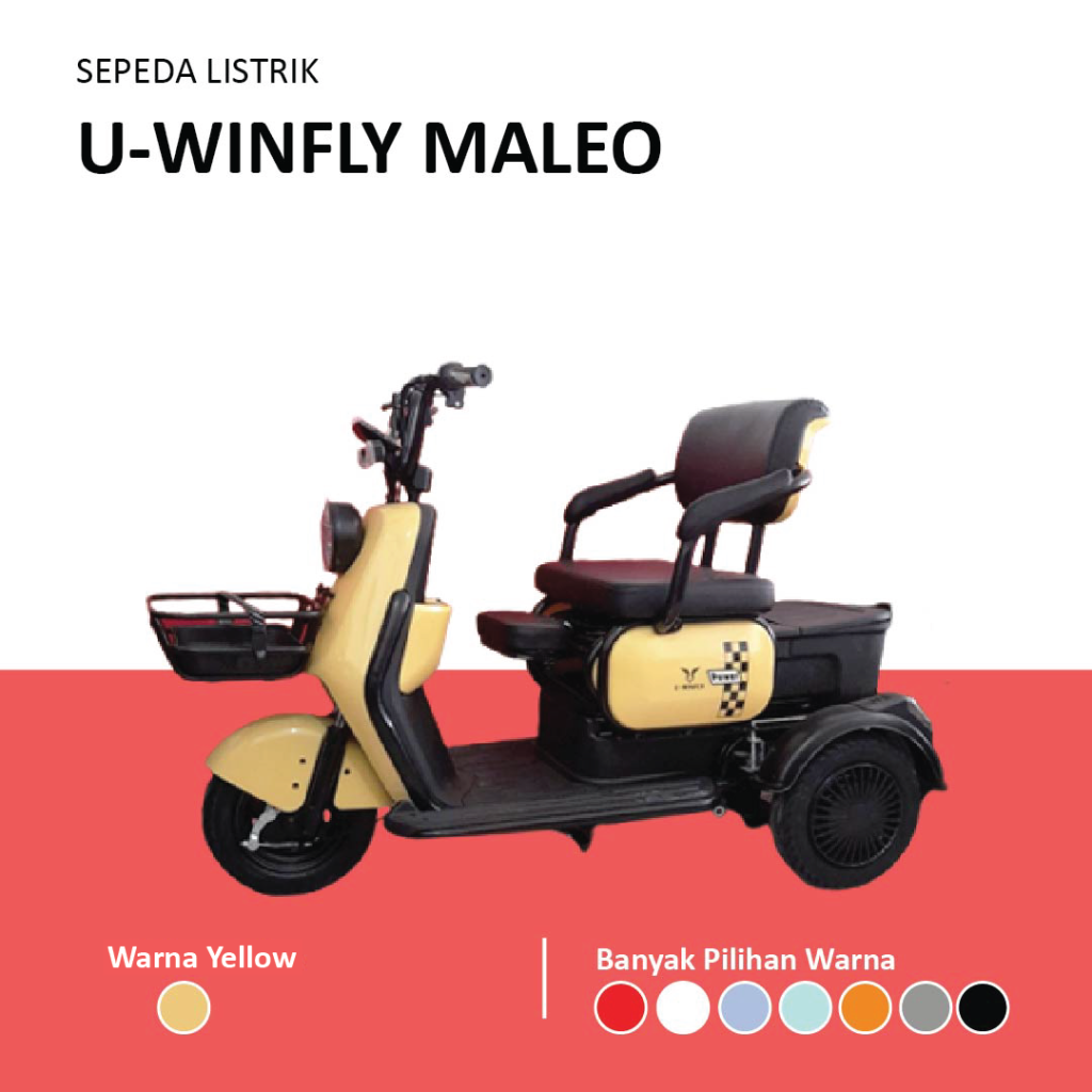 UWinFly Maleo.