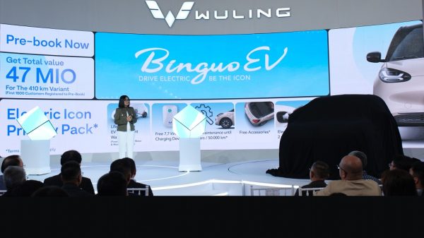 Wuling Binguo