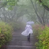 Ilustrasi menggunakan jas hujan.