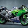 Kawasaki Ninja 40th Anniversary Edition_1a