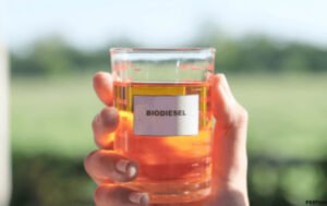 Biosolar diharapkan bisa menjadi solusi